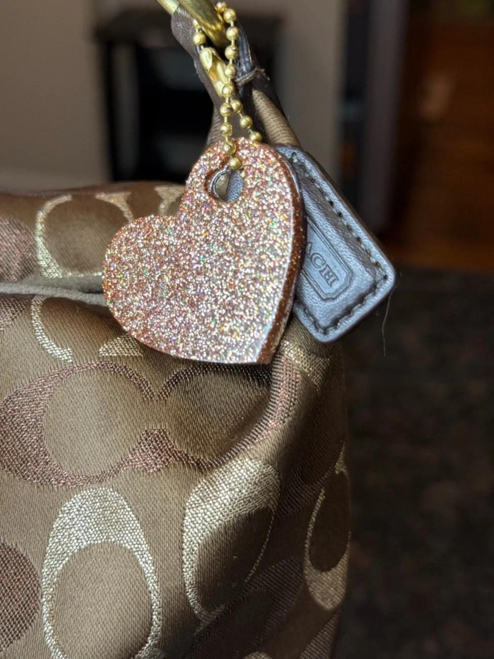 Coach shoulder bag